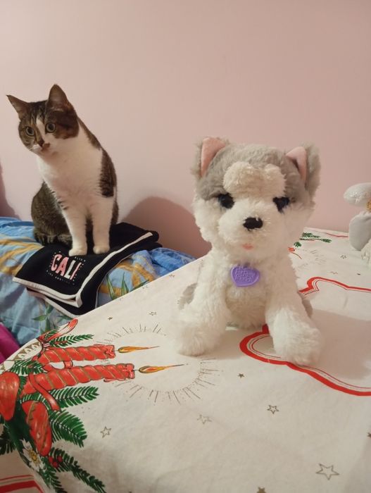 Интерактивная собака FurReal friends