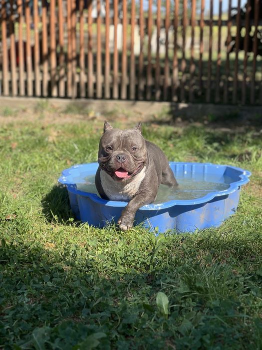 Перетримка - Готель для тваринок ! Зооготель Коломия