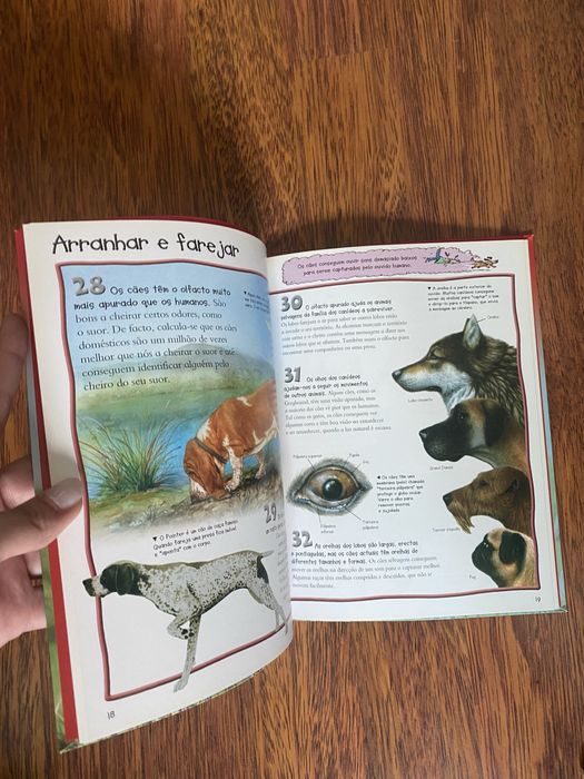 100 coisas que deves saber sobre os cães e cachorros