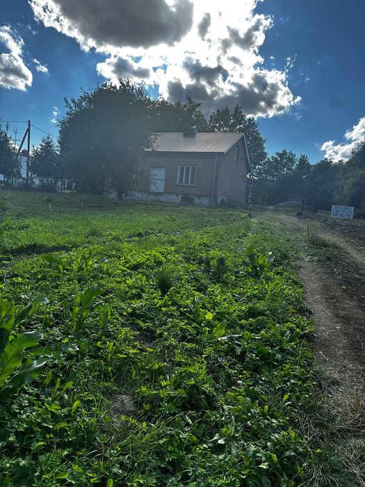 Siedlisko w zakrzówku