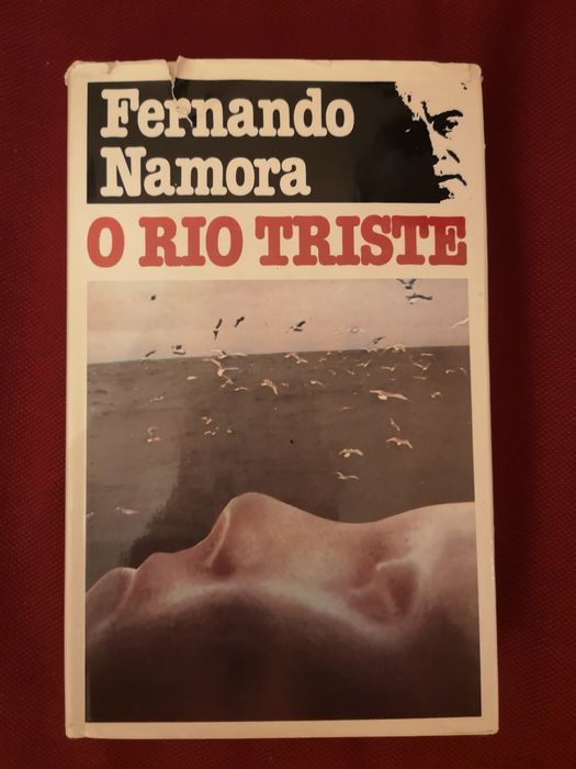 O rio triste, Fernando Namora