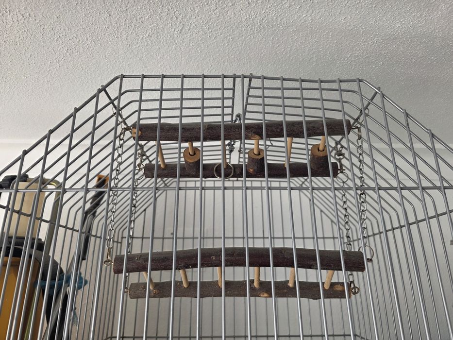 Gaiola para papagaio/ pássaros grandes