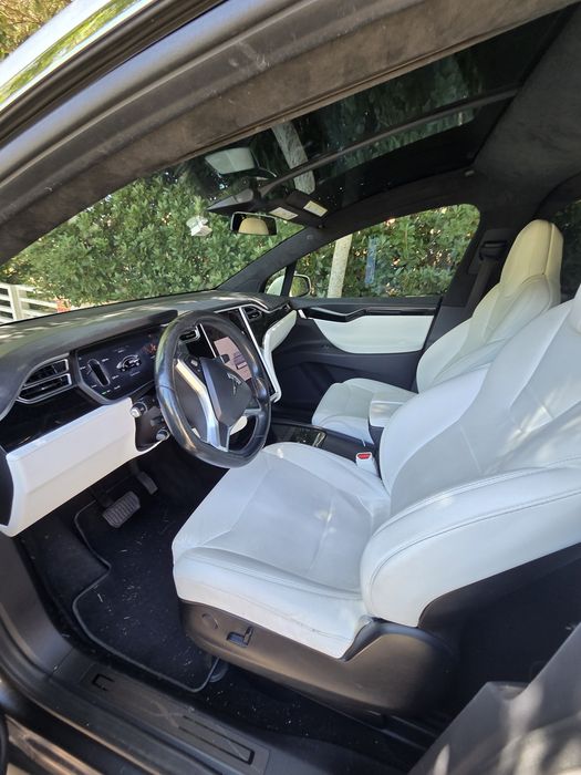 Tesla X 100D 2017