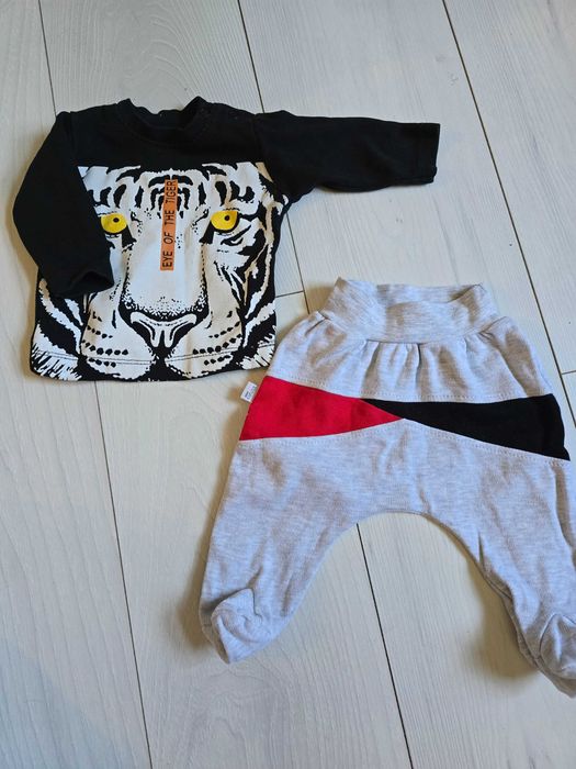 Bluzka + spodnie tygrys