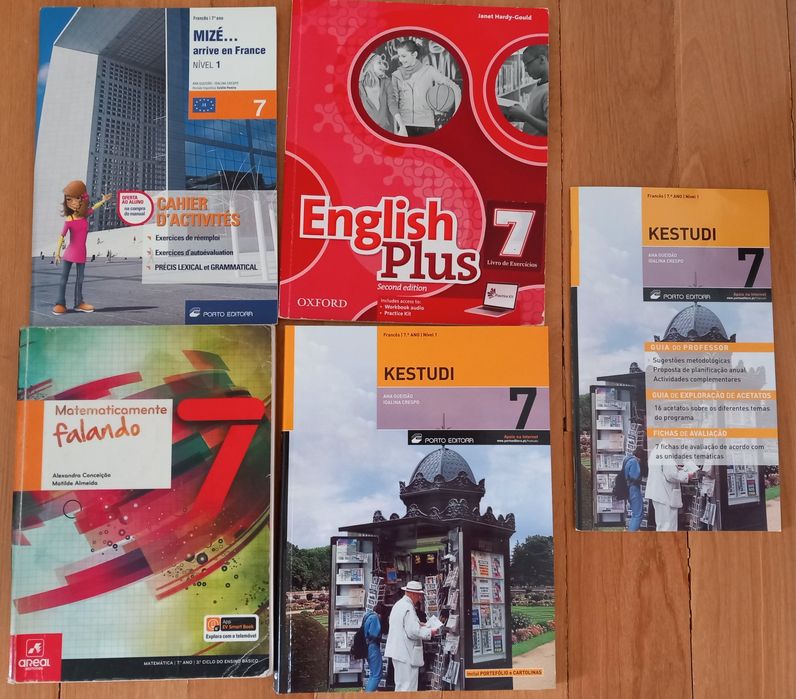 Manuais e cadernos de atividades 9° ano.
