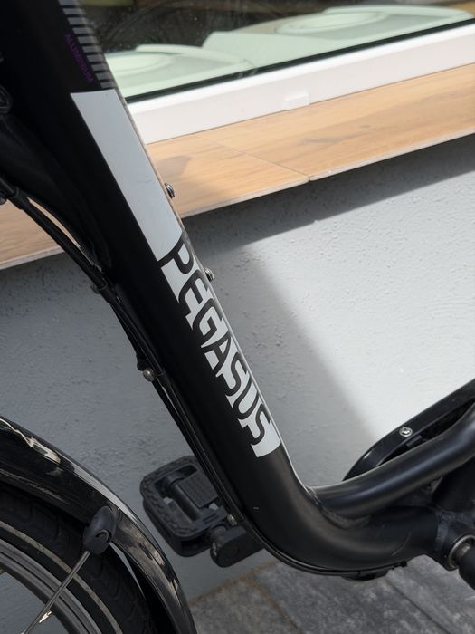 Rower miejski Pegasus