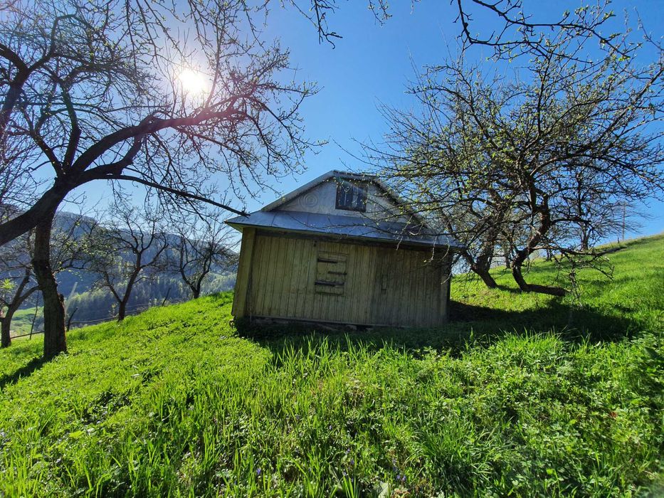 Продам землю в Яворові: 3 га та 25 соток