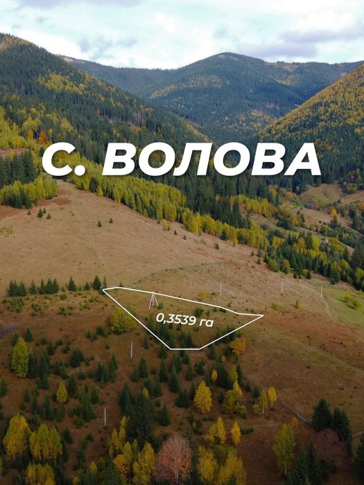 Земля в Карпатах з видом на Чорногірський хребет