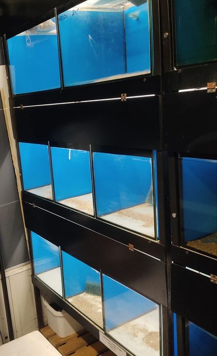 Sprzedam regały akwariowe