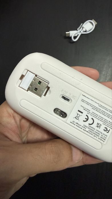 Rato branco com LEDS