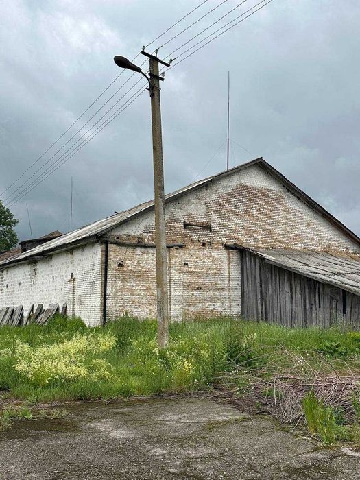 Продаж частини колишнього колгоспного двору, с. Олишівка
