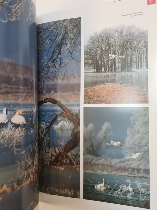 Powiat Nowosolski - Der Landkreis Nowa Sól. Książka