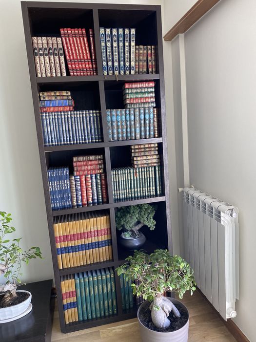 Bonsai artificial 35x35cm Carcavelos E Parede • OLX Portugal