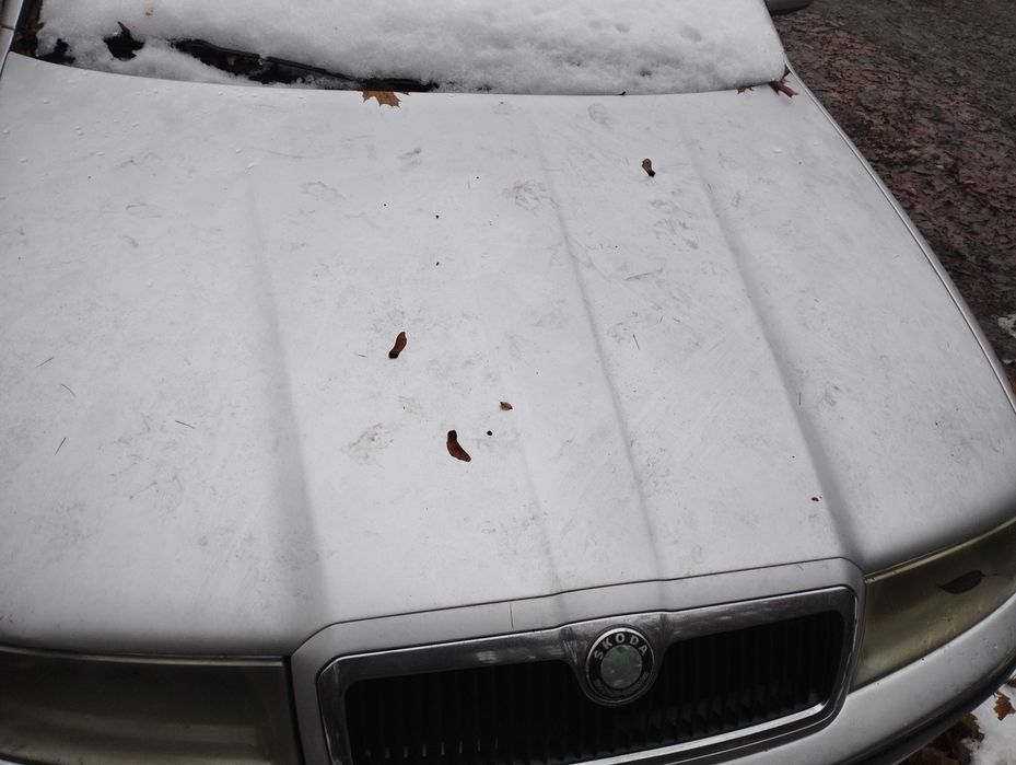 Maska, zderzak blotnik, pas przedni silnik ASV Skoda Octavia 1