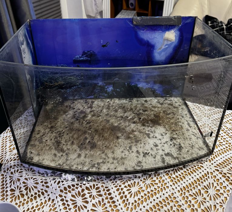 Akwarium panoramiczne