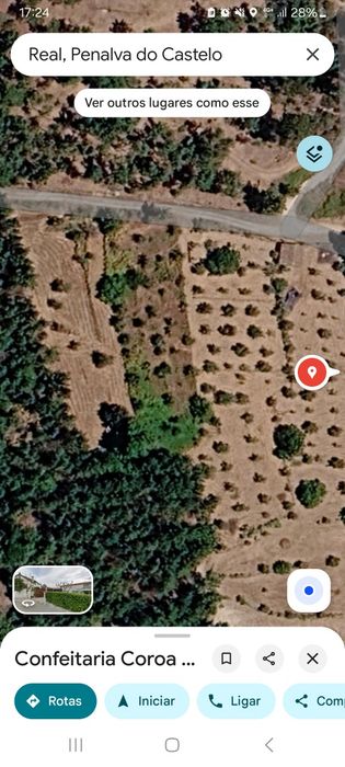 Terreno rural,  29 oliveiras produtivas