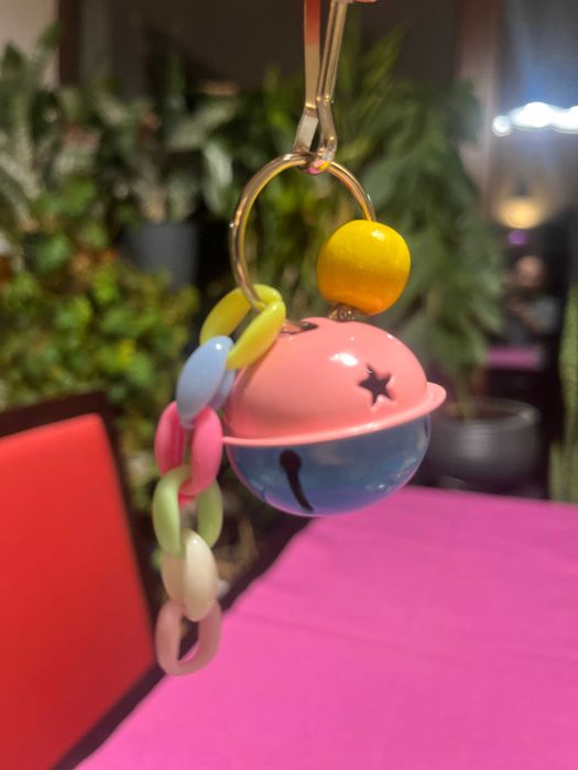 Kompletny zestaw XXL dla papugi, zabawki, hamak, wanienka i więcej!