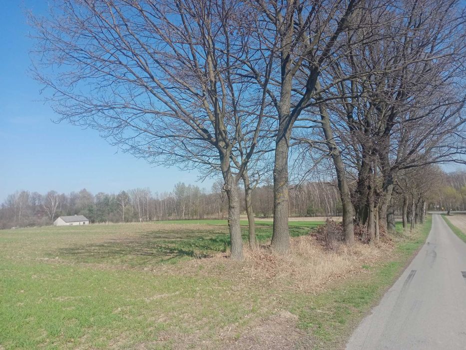 Działki budowlane