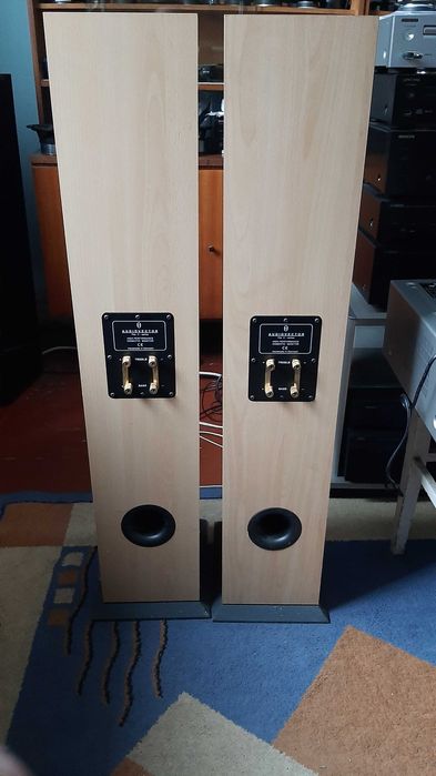 Kolumny audiovector C series ,na przetwornikach vifa Kielce • OLX.pl