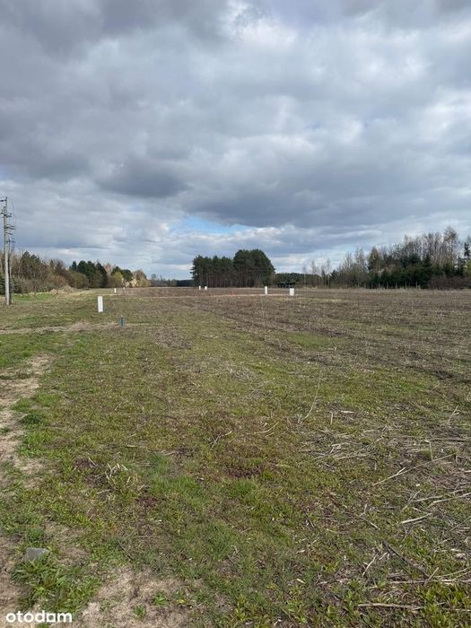 Działka budowlana blisko lasku miejskiego i stawu - Widok 2