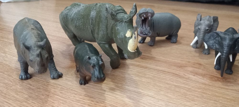 Conjunto de elefantes