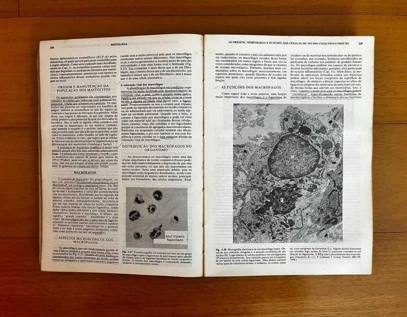 Histologia 8ª Edição