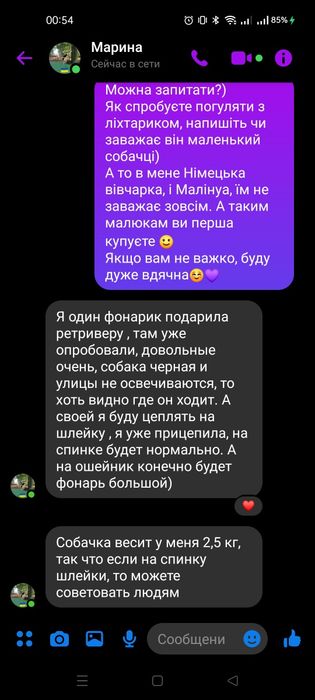 Светящиеся фонарики/маячки для собак/ людей брелки светящиеся