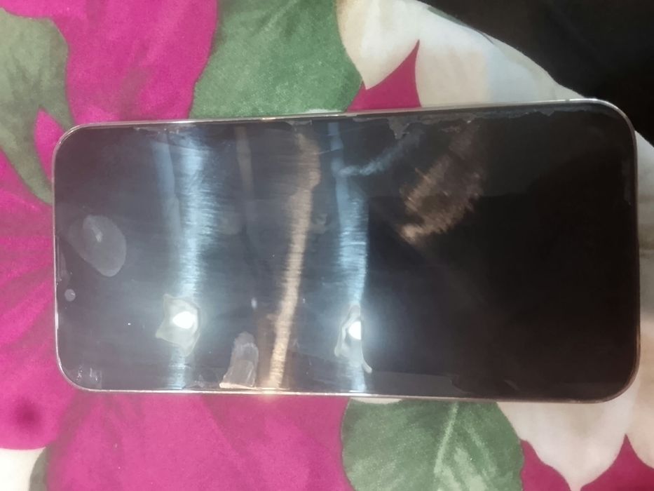 Iphone 13 pro….