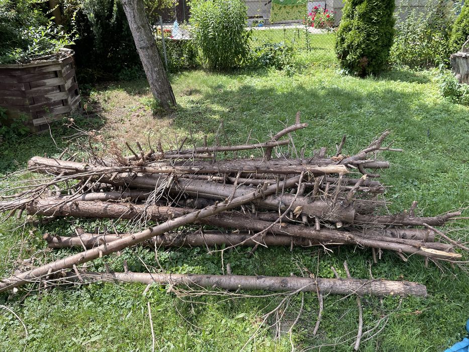 Oddam za darmo suche drewno