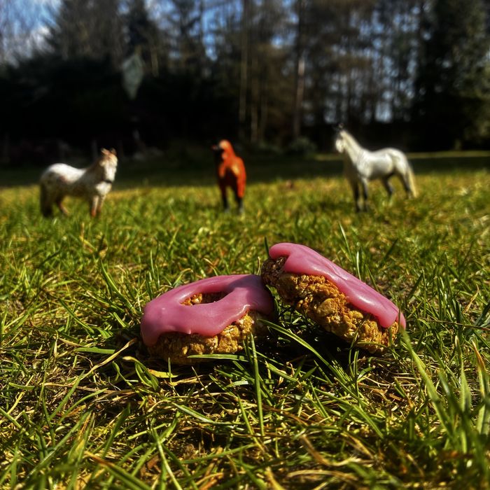 Horse donuts, przysmaki, ciastka z lukrem dla koni