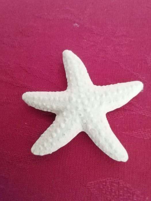 Íman Estrela do mar, novo