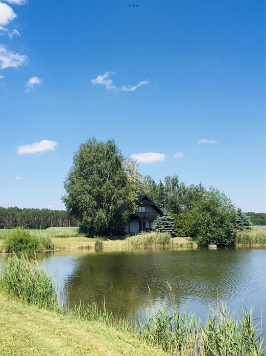 Domek nad stawem w okolicy Boszkowa