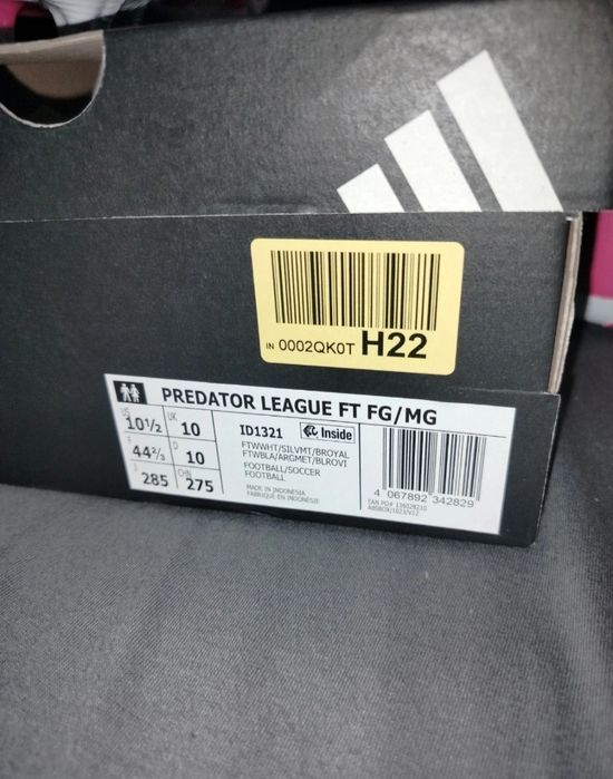 Korki Predator league