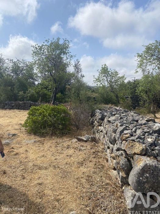 Terreno em Santa Catarina da Fonte do Bispo de 10000,00 m2