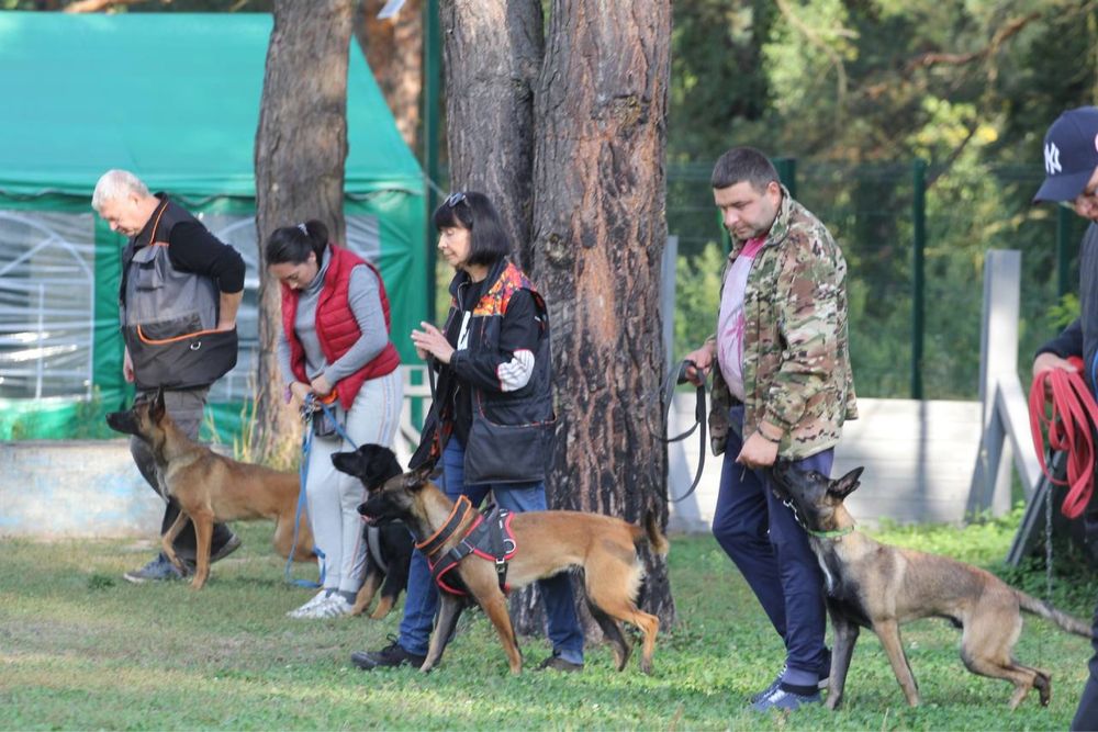 Готель для собак/перетримка собак/зооготель/кінолог/дресирування собак
