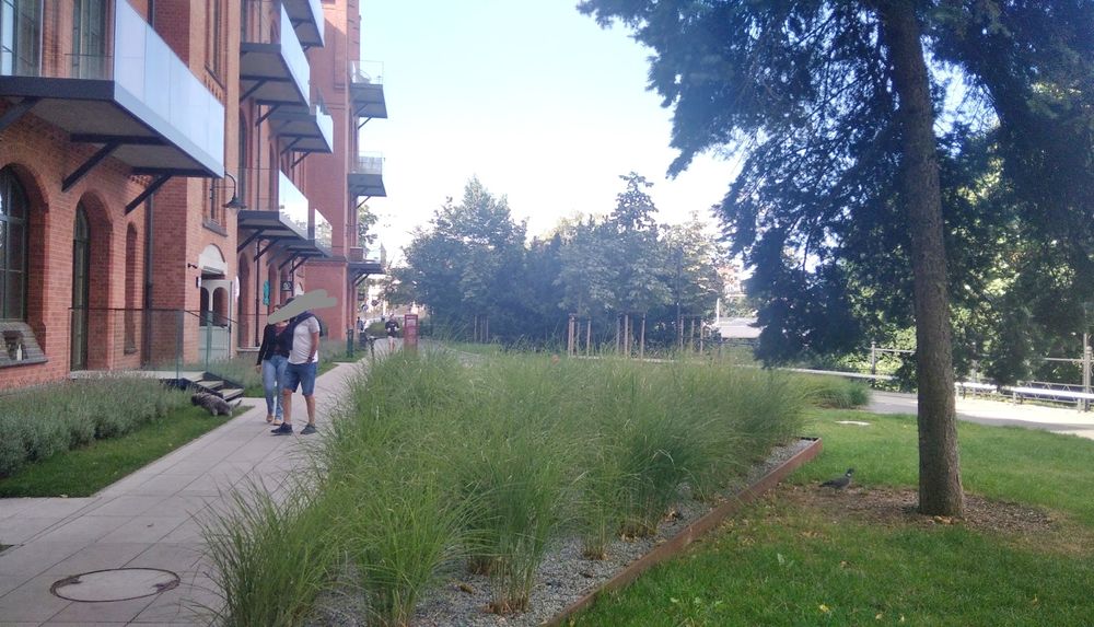 Zdjęcie 4