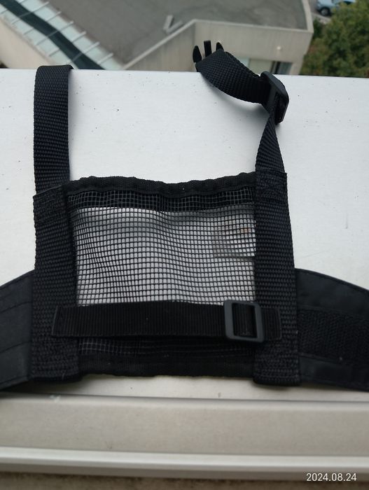 Trela extensível e açaime