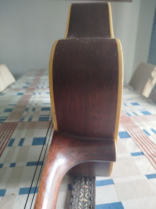 Viola acústica de 12 cordas