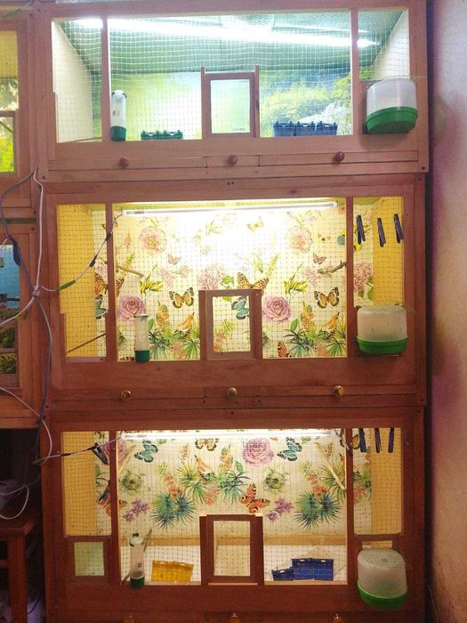 клетки для птиц б\у