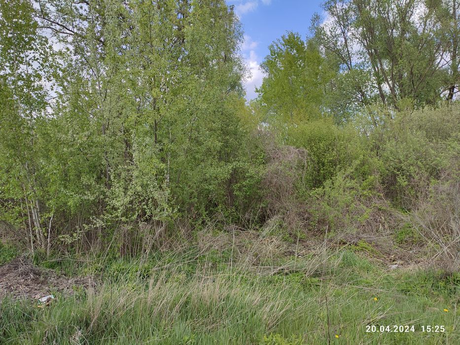 Продам земельну ділянку Лозівка вул. Каштанова