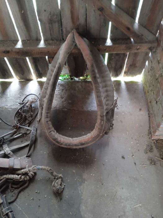 Sprzedam homonto i uprząż dla konia