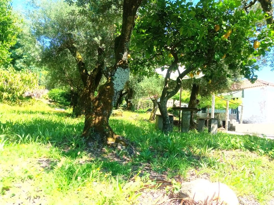 Terreno com casa para restaurar