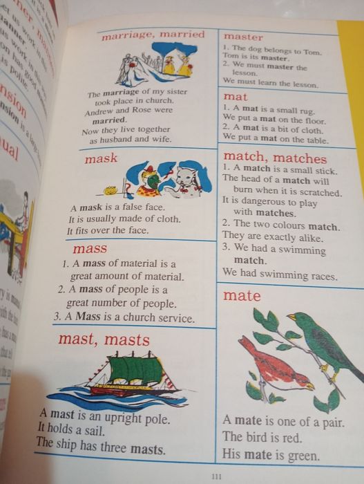 The Giant Picture Dictionary for Boys and Girl.