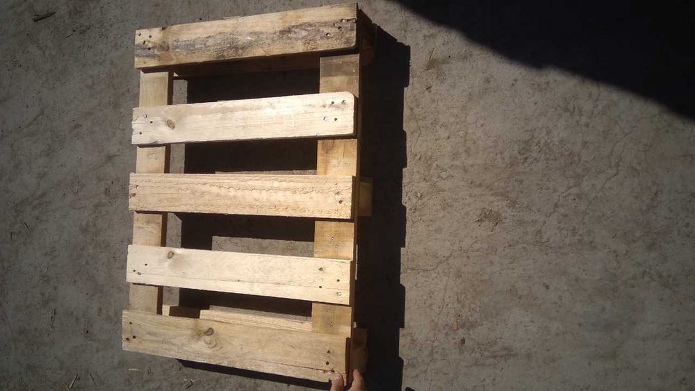 800х600 купую піддони постійно та максимально дорого