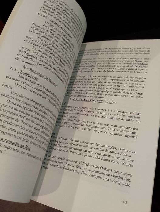 Palmeira de Faro até finais do Séc XIII - Silvestre Matos da Costa