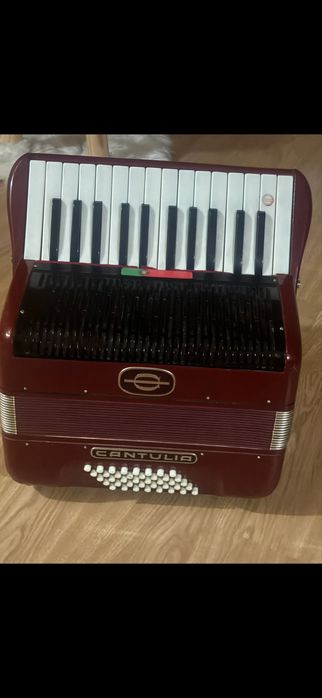 Vendo acordeao  pk nao sei tucar muito