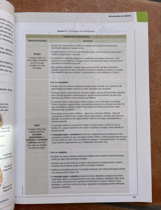 Livro Preparação para o exame Biologia e Geologia 11