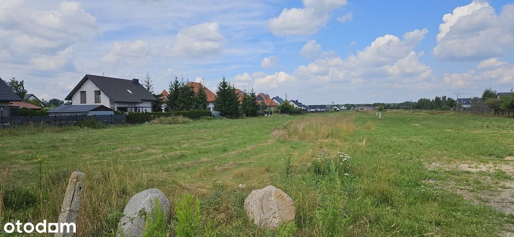 Bezpośrednio Ustanów