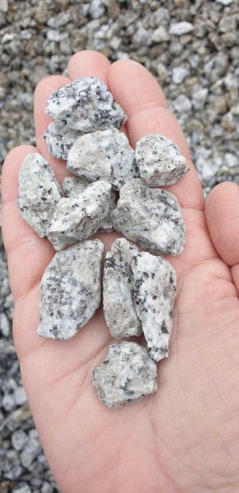 Grys granit dalmatyńczyk 8-16, 16-22. Kamienie ogrodowe dekor. ozdobne