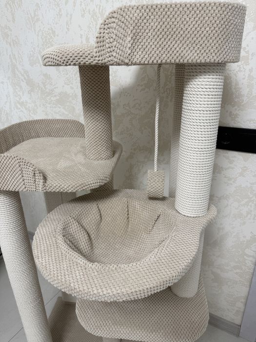 Комплекс для котів